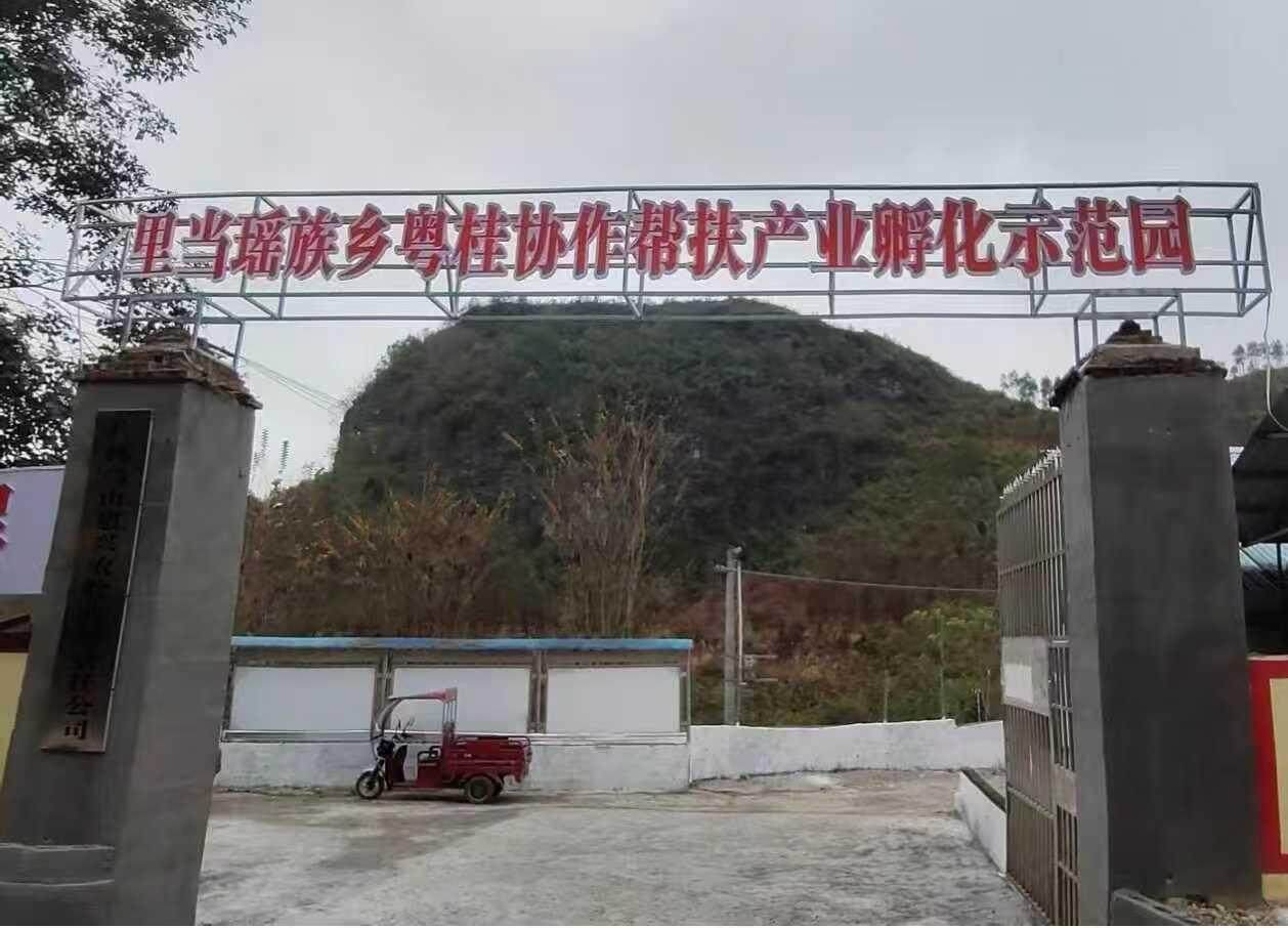 MAHh, 实施里当鸡