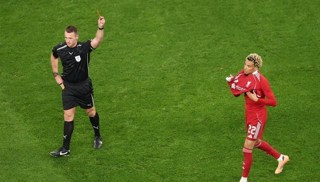 msn, 极生悲, 极生悲 msn, 极生悲, 极生悲